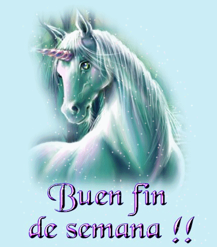 Buen Fin de Semana