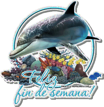 Feliz Fin de Semana