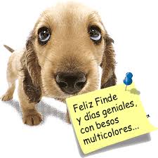 Feliz Finde