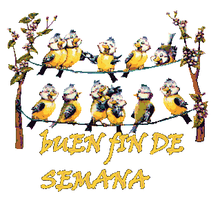 Buen Fin de Semana