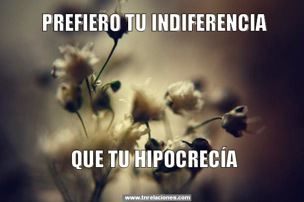 Hipocrecía