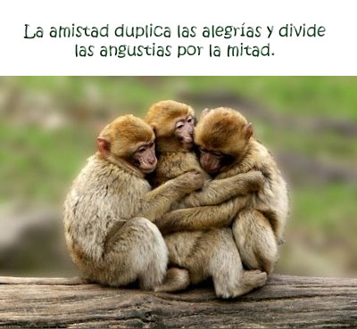 La Amistad
