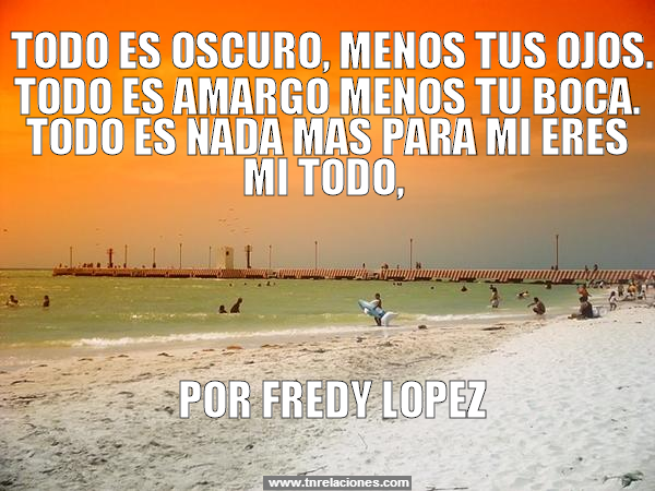 Mi Todo