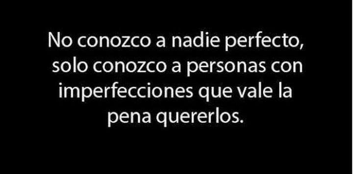 Nadie Perfecto