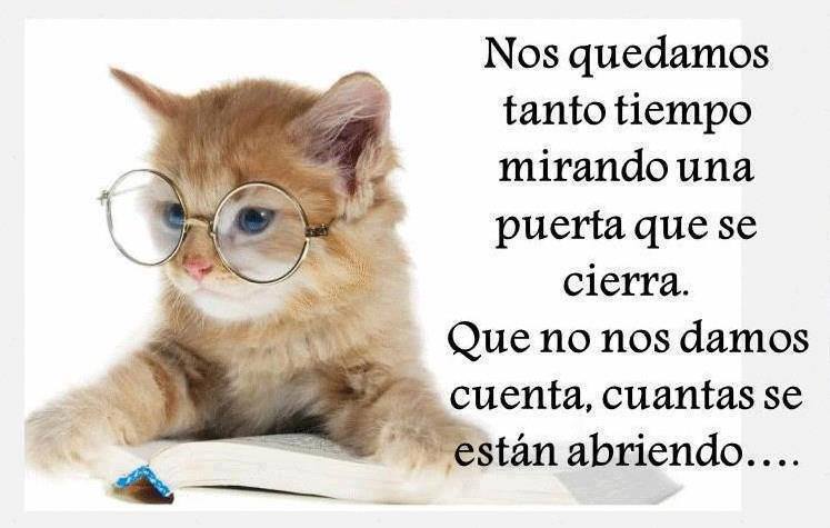 Puerta que se cierra