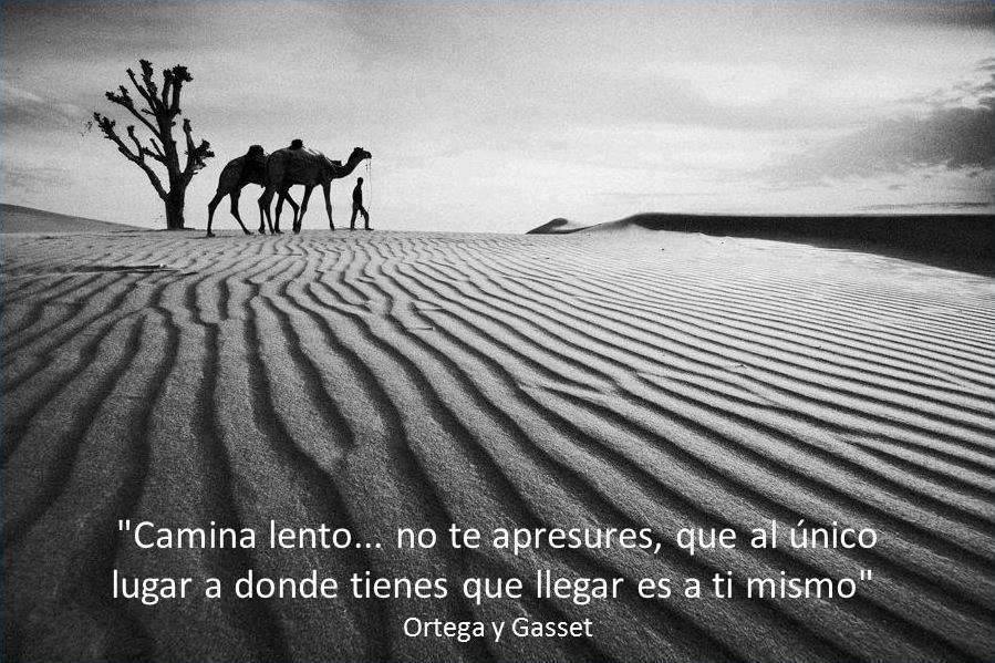 Camina Lento…