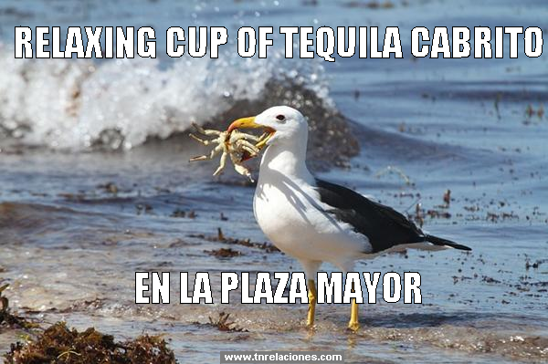 Relaxing Cup