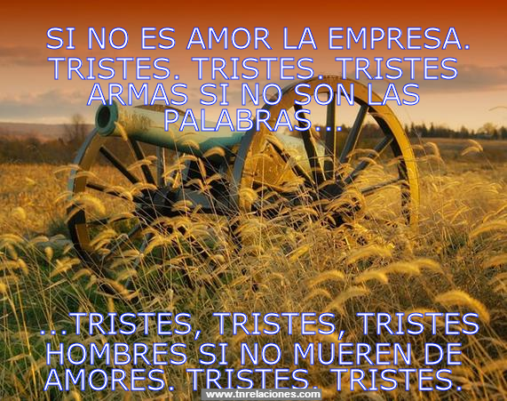Tristes guerras