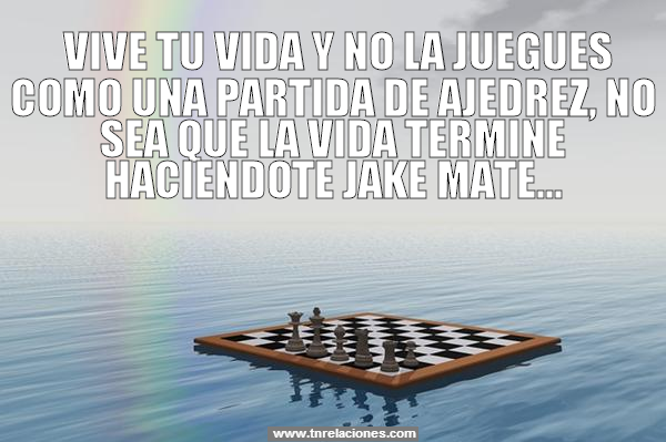 Vive tu Vida