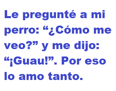 Le pregunté a mi perro: ¿Cómo me veo? y me dijo: Guau. Por eso lo amo tanto.