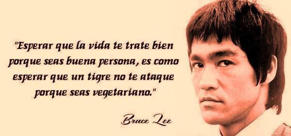 Esperar que la vida te trate bien porque seas buena persona, es como esperar que un tigre no te ataque porque seas vegetariano. Bruce Lee