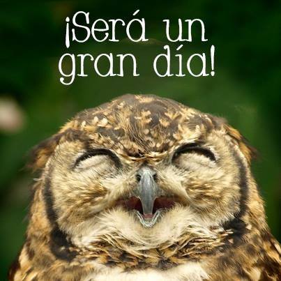 Será un gran día