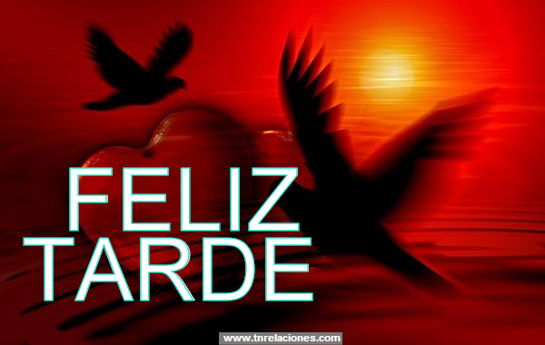 Feliz Tarde