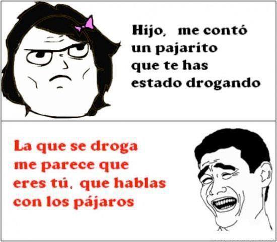 Hijo, me contó un pajarito
