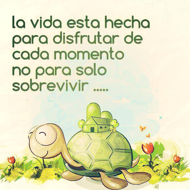 La vida esta hecha para disfrutar