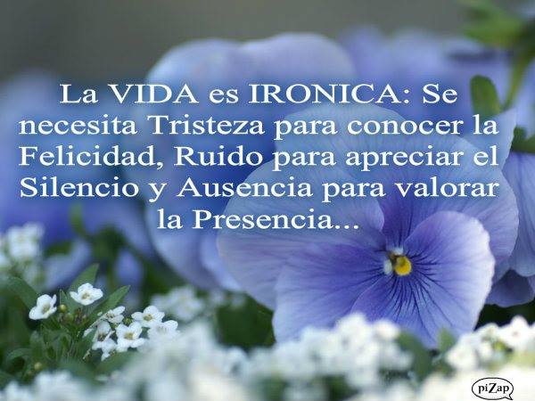 La vida es irónica