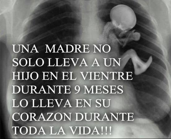 Una madre no solo lleva a un hijo en el vientre durante 9 meses lo lleva en su corazón durante toda la vida.