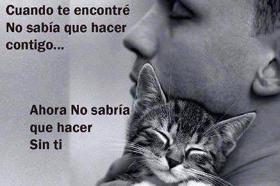 No sabría que hacer sin ti