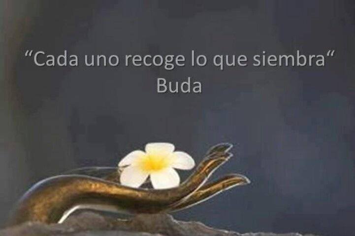 Cada uno recoge lo que siembra. Buda