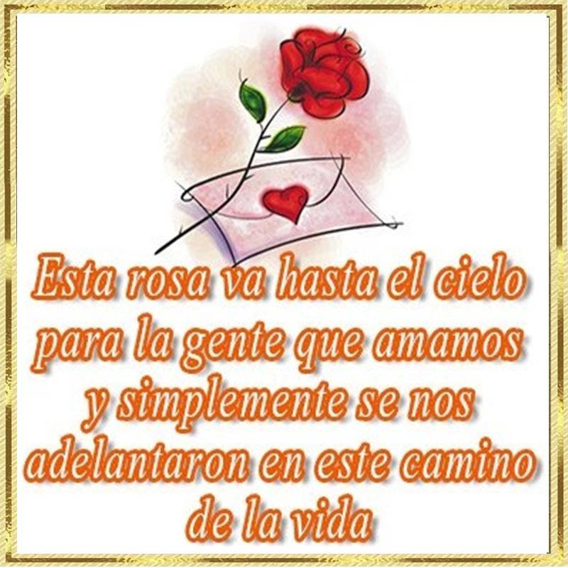 Esta rosa va hasta el cielo