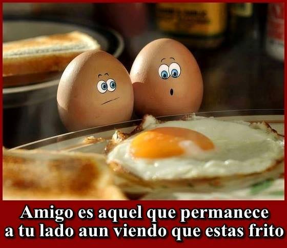 Amigo es aquel que permanece a tu lado aún viendo que estás frito.
