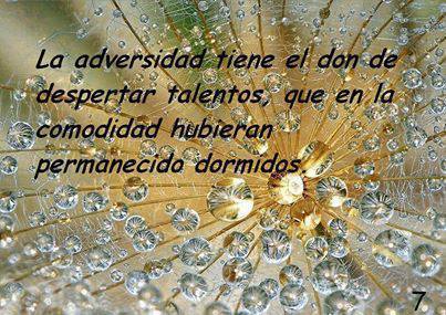 La Adversidad tiene el don de despertar talentos, que en la comodidad hubieran permanecido dormidos.