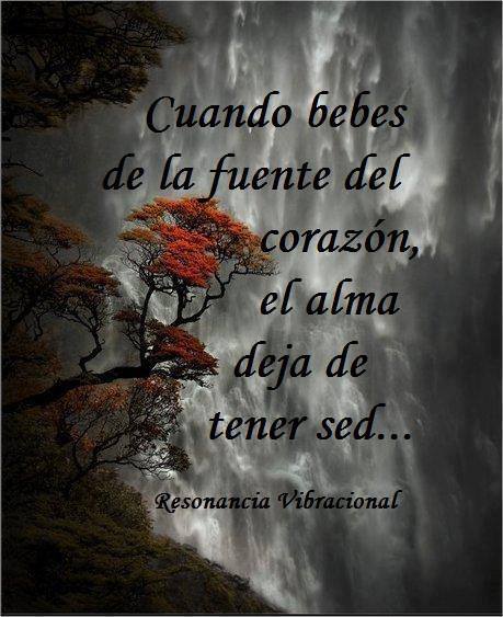 Cuando bebes de la fuente del corazón…