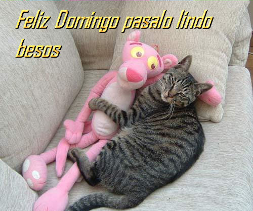 Feliz Domingo, pasalo liado. Besos