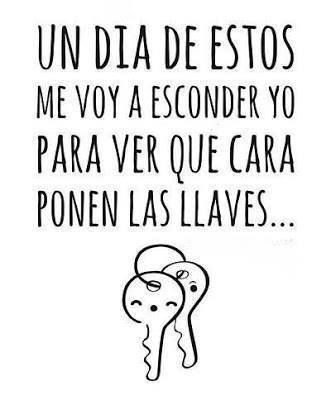 Un día de estos me voy a esconder yo para ver que cara ponen las llaves...