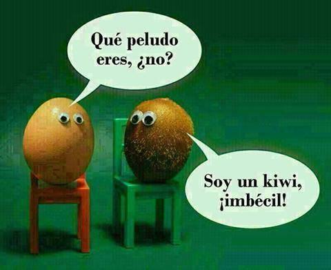 Qué peludo eres ¿No?. Soy un Kiwi ¡Imbécil!