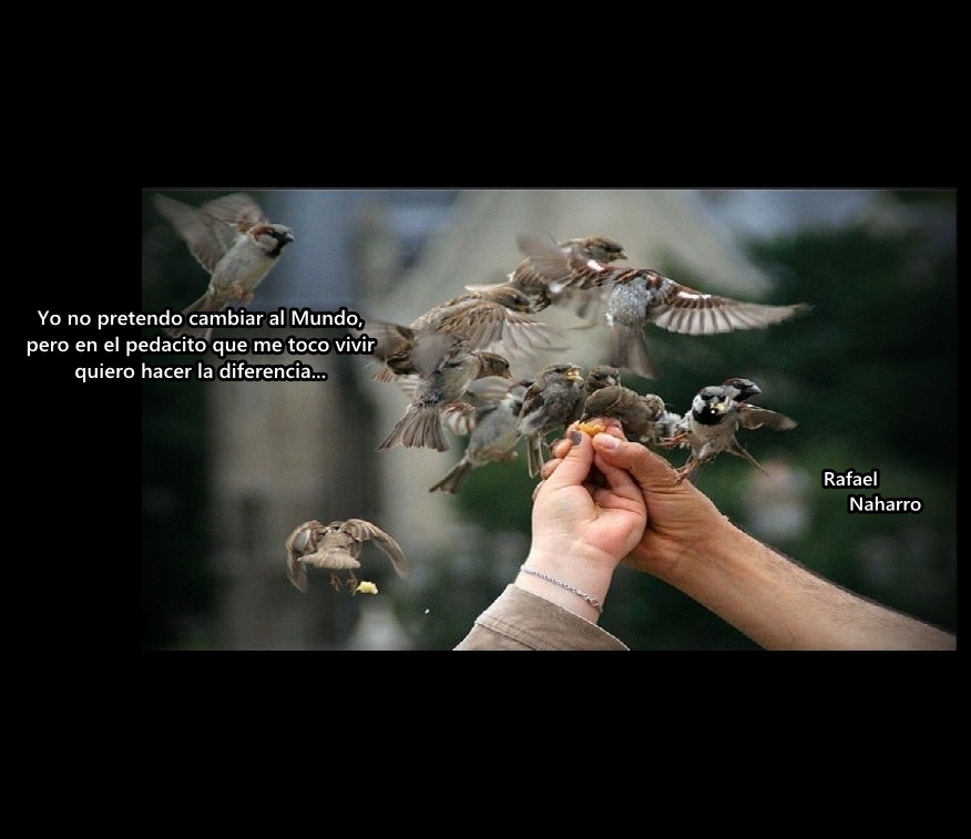 Yo no pretendo cambiar el mundo…