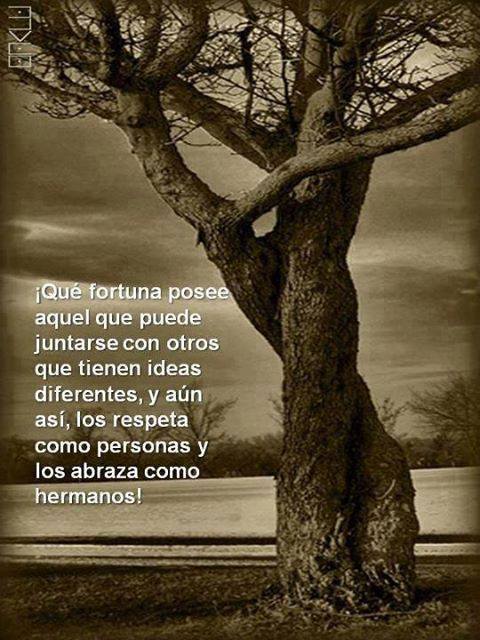 Que fortuna posee aquel que puede juntarse con otros que tienen ideas diferentes, y aún así, los respeta como personas y los abraza como hermanos.