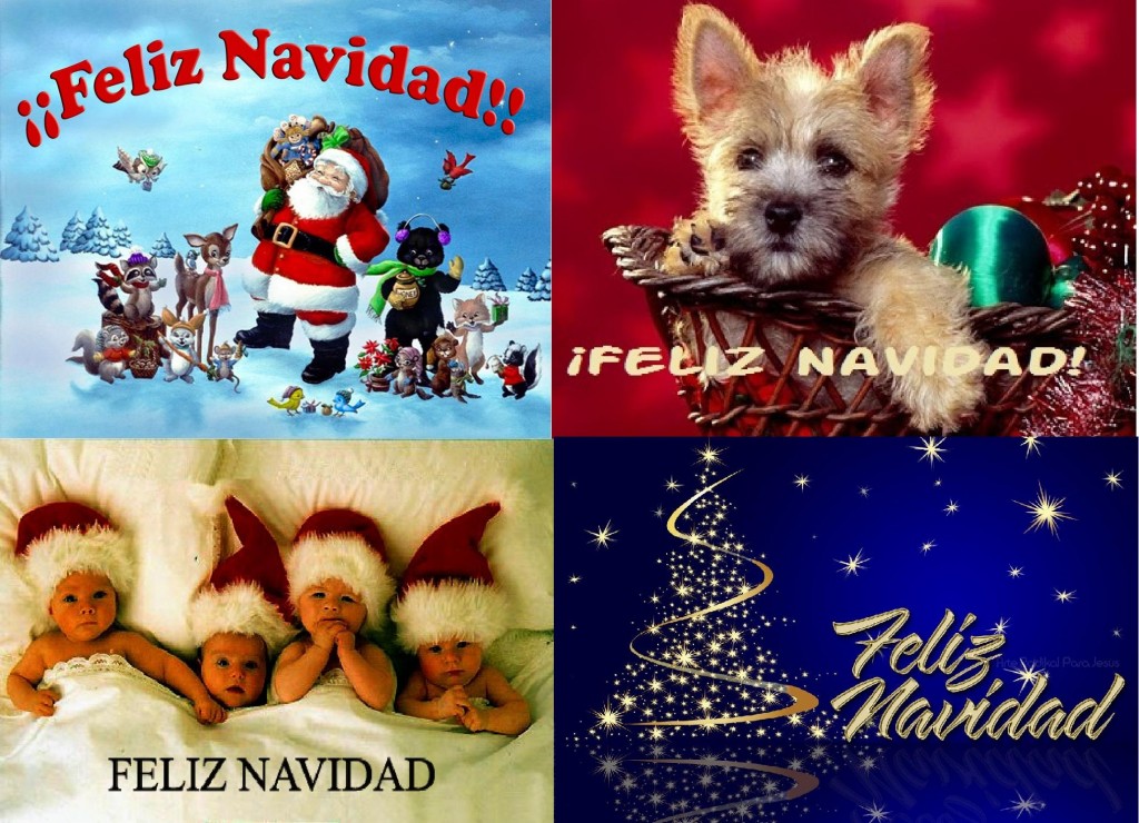 Feliz Navidad