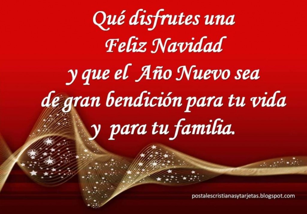 Que disfrutes una Feliz Navidad y que el Año Nuevo sea de gran bendición para tu vida y para tu familia.