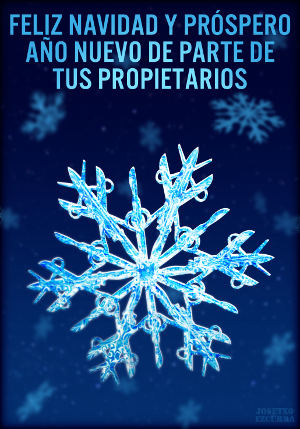 Feliz Navidad y próspero Año Nuevo de parte de tus propietarios.