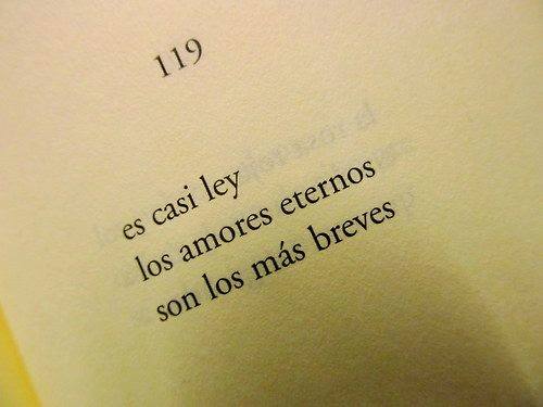 Amores Breves