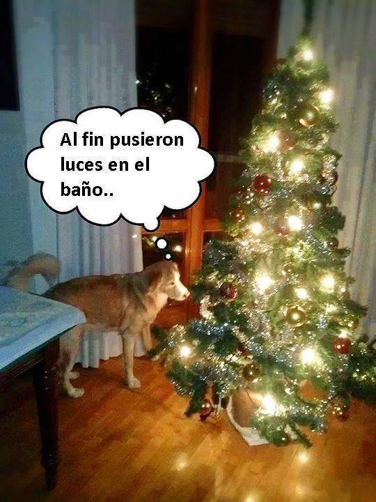 Al fin pusieron luces en el baño...