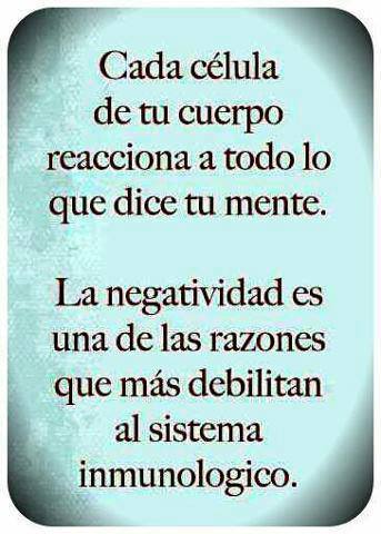 Cada célula de tu cuerpo reacciona a todo lo que dice tu mente. La negatividad es una de las razones que más debilitan al sistema inmunológico.