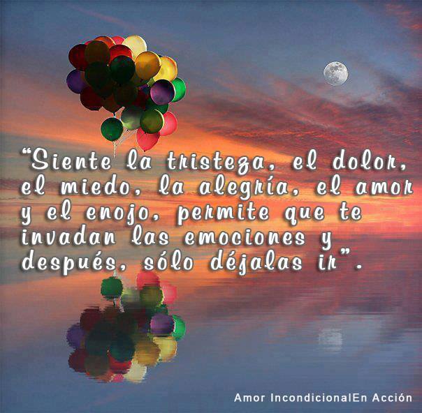 Siente la tristeza, el dolor, el miedo, la alegría, el amor y el enojo, permite que te invadan las emociones y después, sólo déjalas ir.