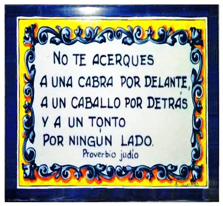 No te acerques a una cabra por delante, a un caballo por detrás y a un tonto por ningún lado. Proverbio Judío