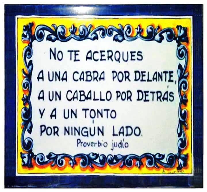 No te acerques a una cabra por delante, a un caballo por detrás y a un tonto por ningún lado. Proverbio Judío