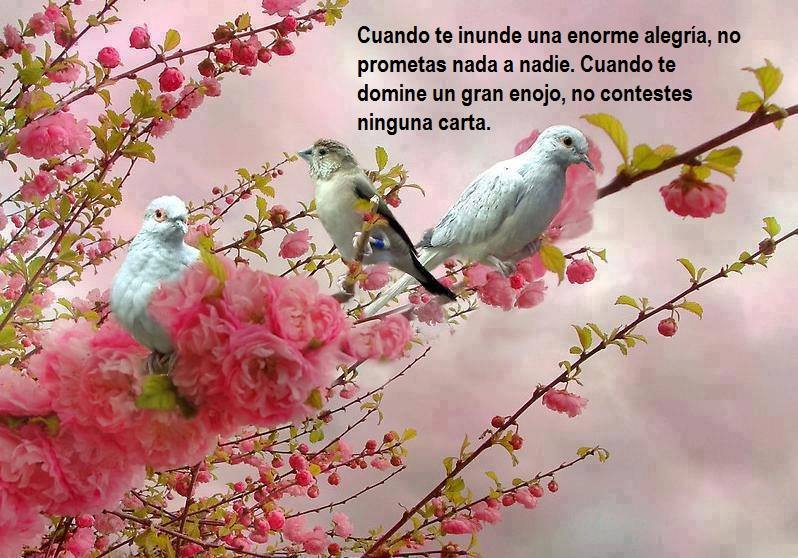 Cuando te inunde una enorme alegría