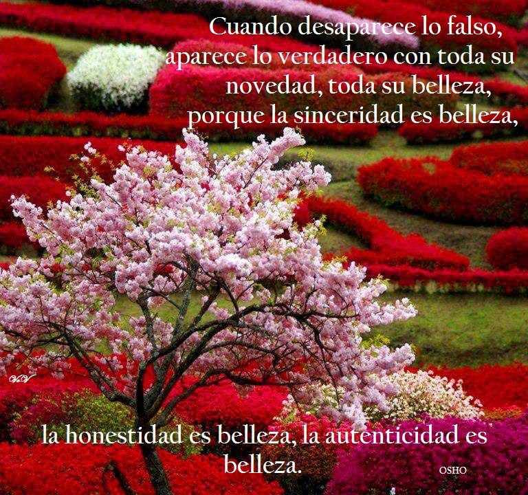 Cuando desaparece lo falso, aparece lo verdadero con toda su novedad, toda su belleza, porque la sinceridad es belleza, honestidad es belleza, la autenticidad es belleza. Osho