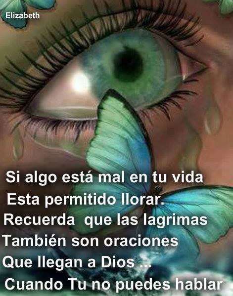 Si algo está mal en tu vida, está permitido llorar. Recuerda que las lágrimas, también son oraciones que llegan a Dios, cuando tu no puedes hablar.