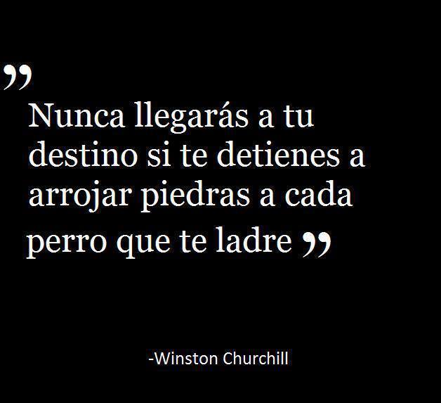 Nunca llegarás a tu destino si te detienes a arrojar piedras a cada perro que ladre. Winston Churchill