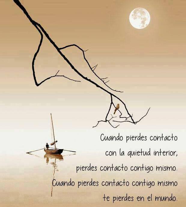 Cuando pierdes contacto con la quietud interior, pierdes contacto contigo mismo. Cuando pierdes contacto contigo mismo te pierdes en el mundo.