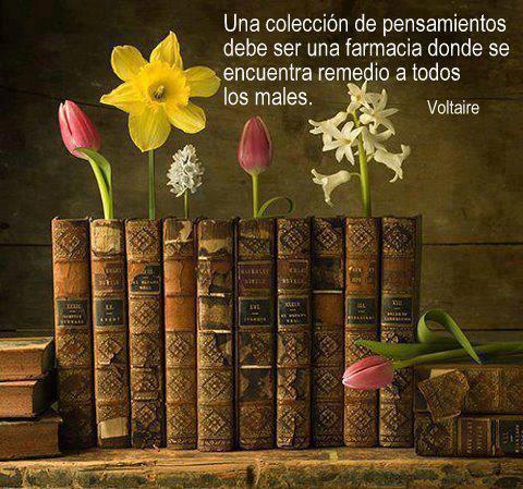 Una colección de pensamientos debe ser una farmacia donde se encuentra remedio a todos los males. Voltaire