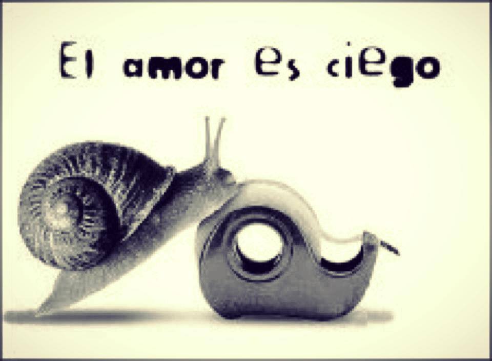 El amor es ciego