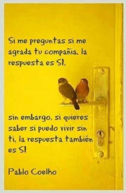 Si me preguntas si me agrada tu compañía, la respuesta es Sí, sin embargo, si quieres saber si puedo vivir sin ti, la respuesta también es Sí. Paulo Coelho