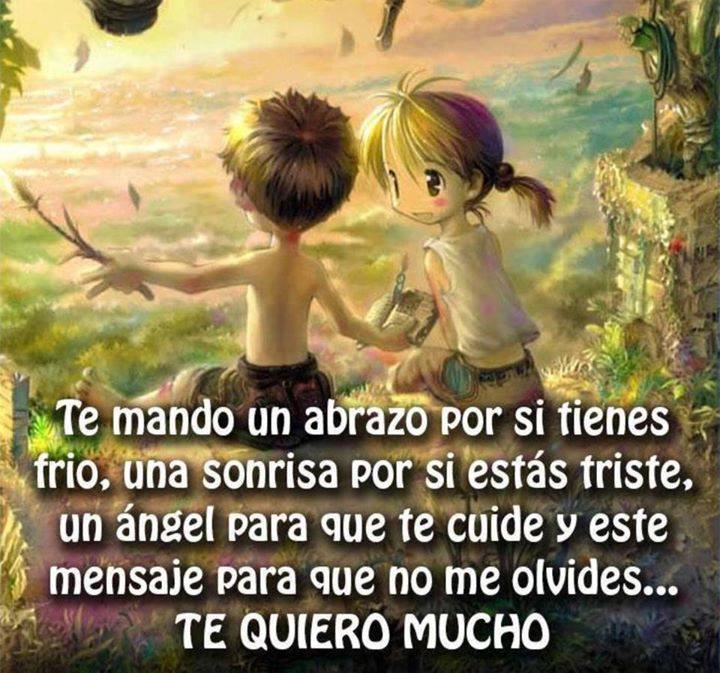 Te mando un abrazo por si tienes frío, una sonrisa por si estás triste, un ángel para que te cuide y este mensaje para que no me olvides... Te quiero mucho.